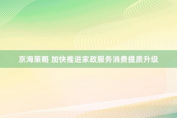 京海策略 加快推进家政服务消费提质升级
