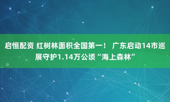 启恒配资 红树林面积全国第一！ 广东启动14市巡展守护1.14万公顷“海上森林”