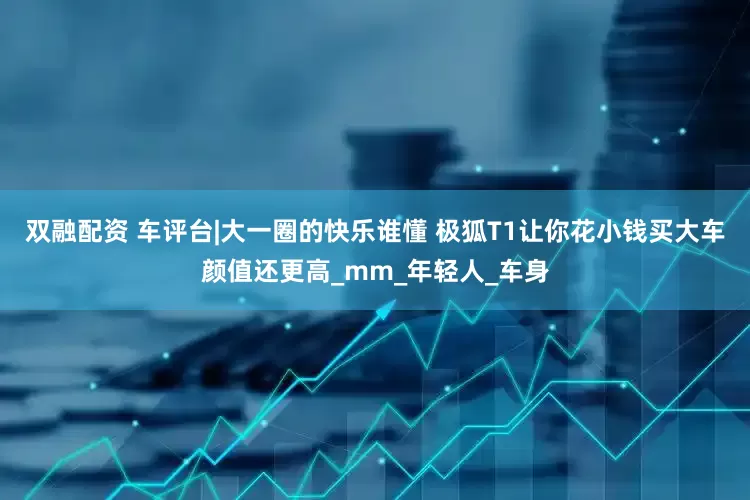 双融配资 车评台|大一圈的快乐谁懂 极狐T1让你花小钱买大车颜值还更高_mm_年轻人_车身