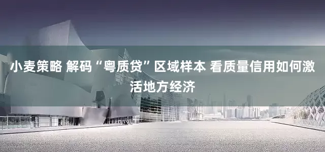 小麦策略 解码“粤质贷”区域样本 看质量信用如何激活地方经济