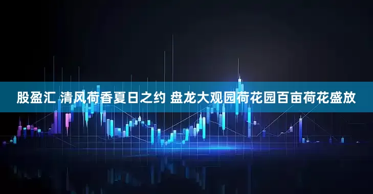 股盈汇 清风荷香夏日之约 盘龙大观园荷花园百亩荷花盛放