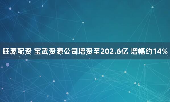 旺源配资 宝武资源公司增资至202.6亿 增幅约14%